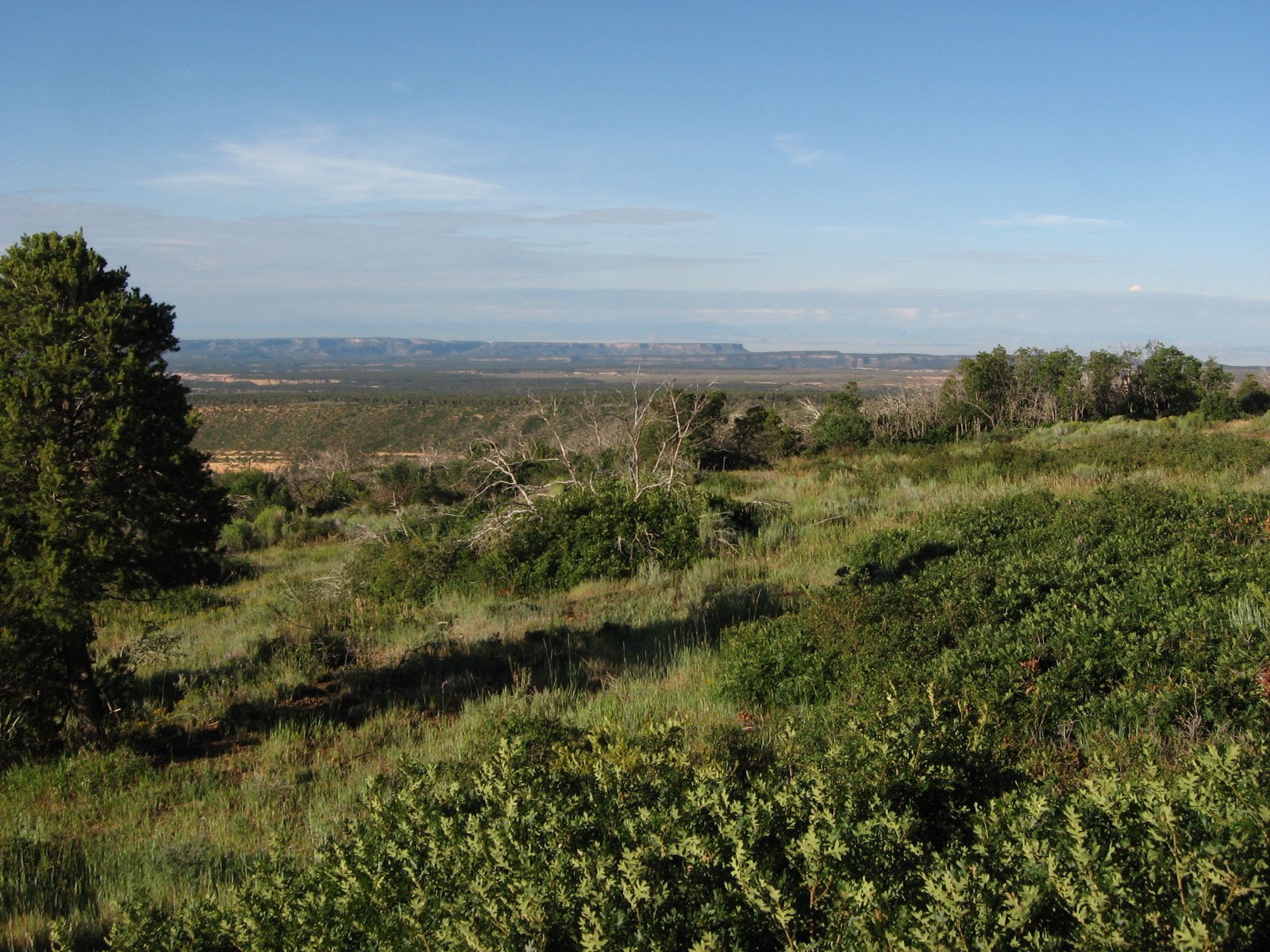 Photo of The Vistas Park