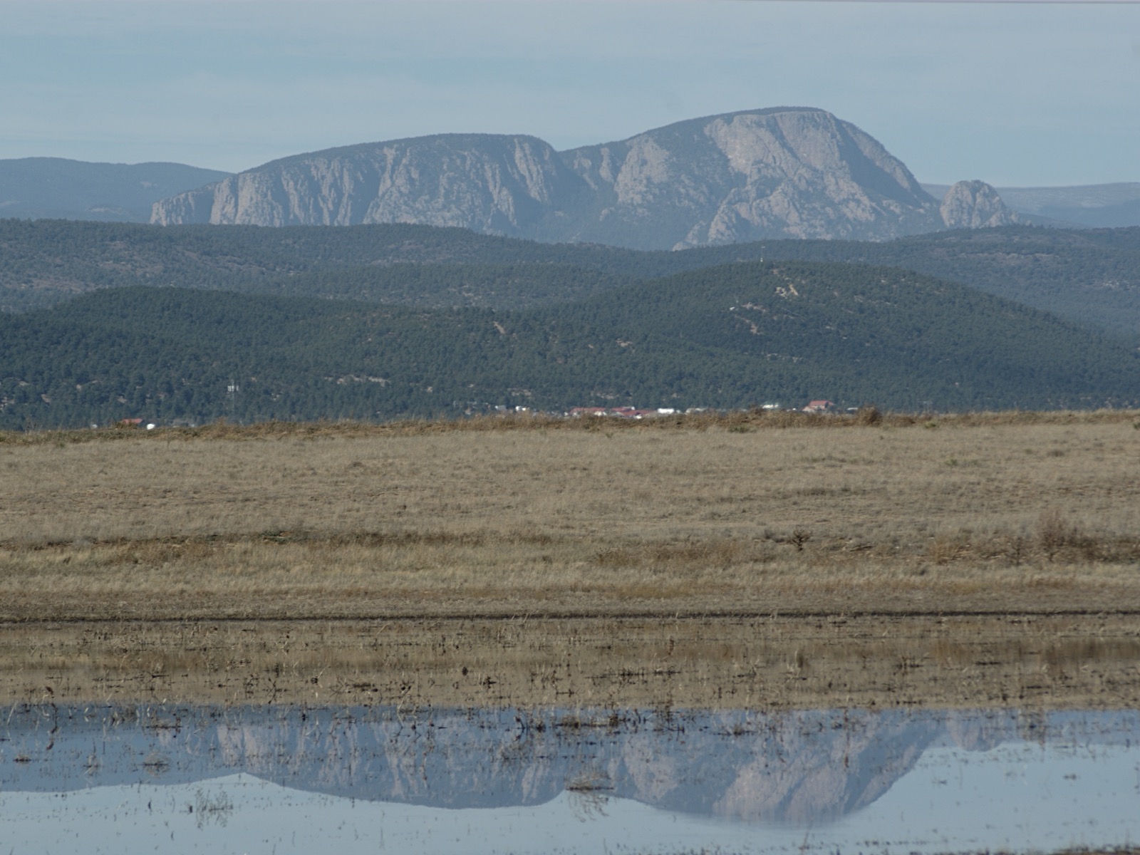 Photo of The Wildlife Habitat