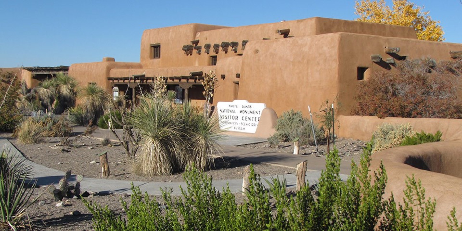 Photo of Cactus Wren Park