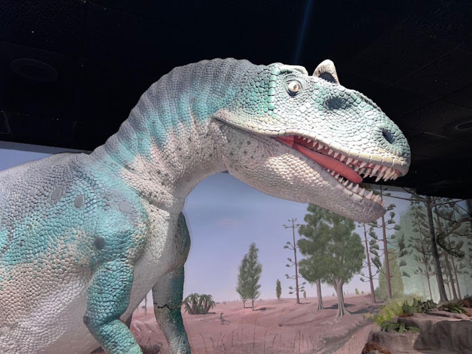 Photo of Las Vegas Natural History Museum