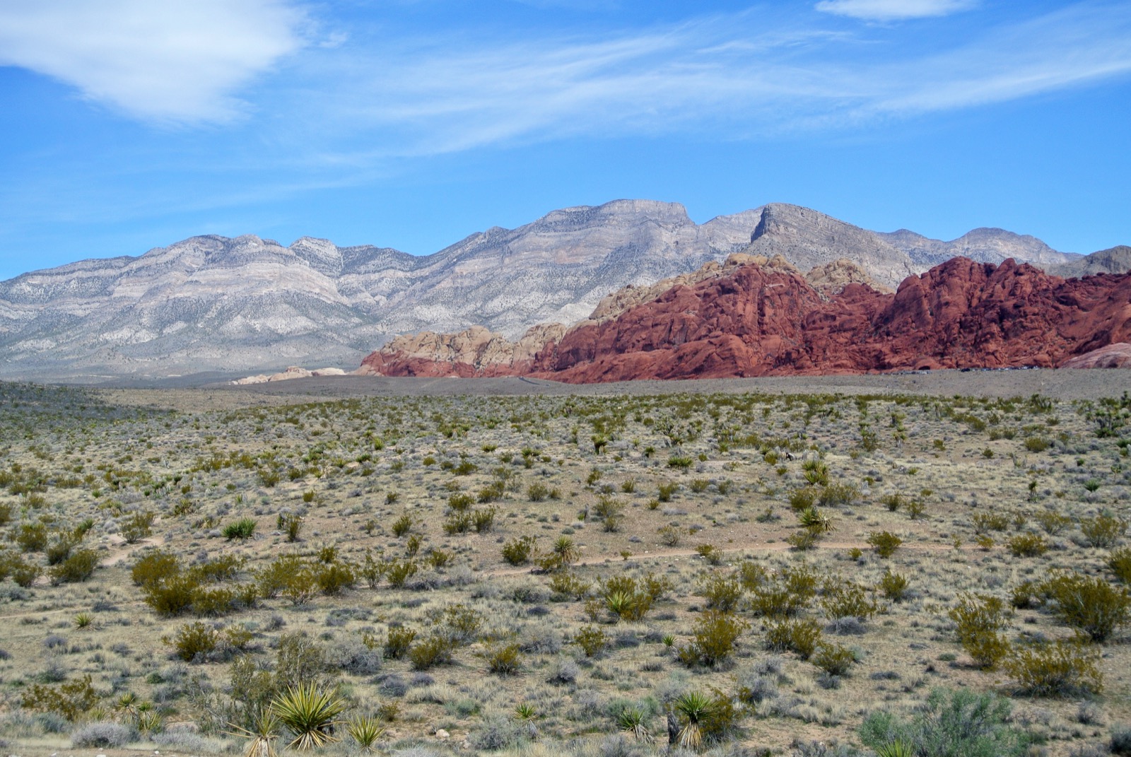 Photo of Black Velvet Canyon Overlook