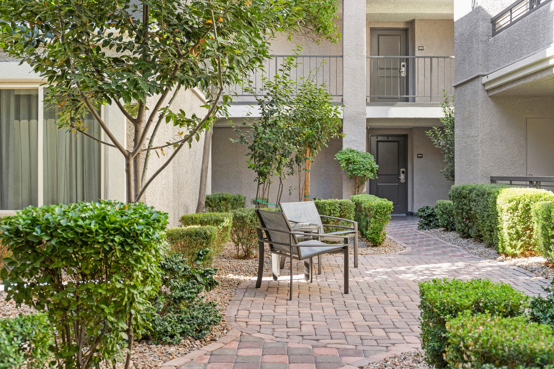 Desert Rose Resort landscaped guest courtyard
