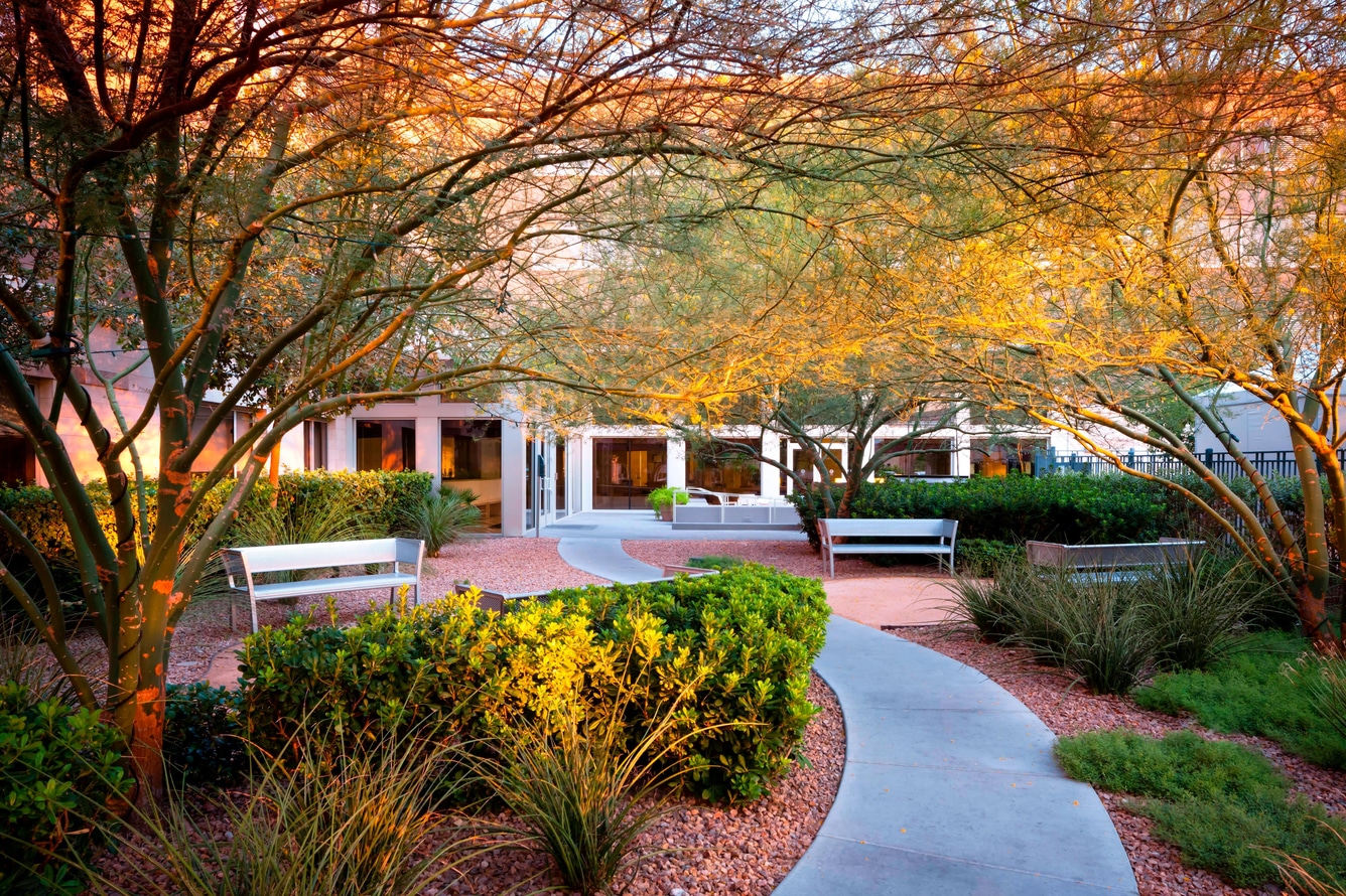 Element Las Vegas Summerlin landscaped guest courtyard