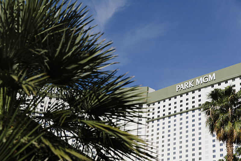 Park MGM hotel exterior framed by palm trees