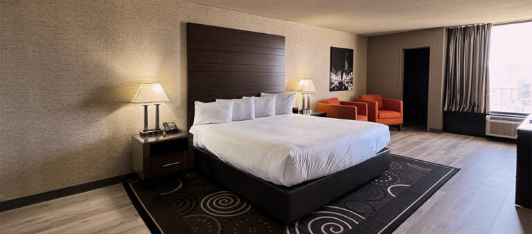 Plaza Hotel and Casino mini suite