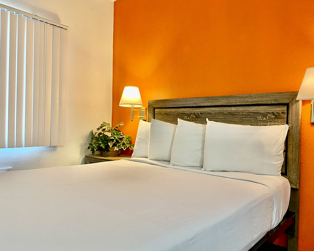 Siegel Select Flamingo furnished studio suite